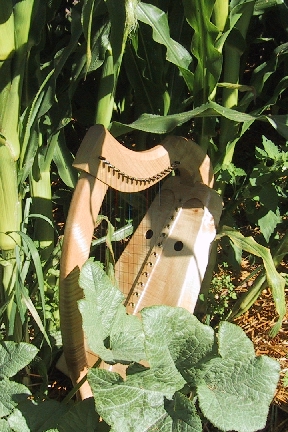 Harp Amidst Corn