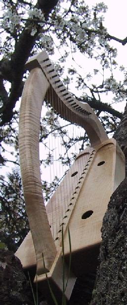 Tree Harp