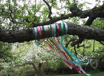 Tree Ribbons